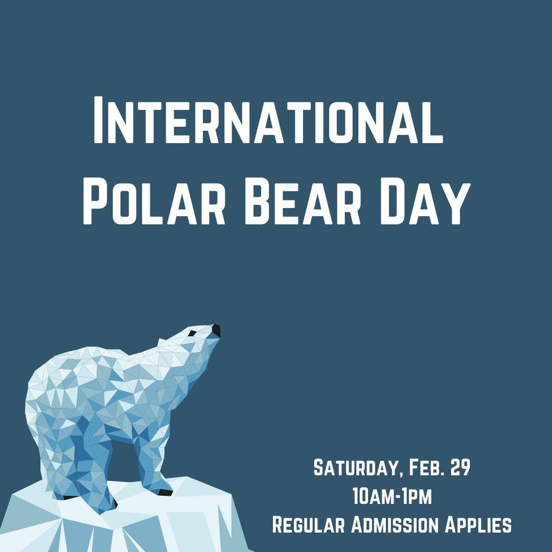 When Is International Polar Bear Day 2024 - Jan Rozella